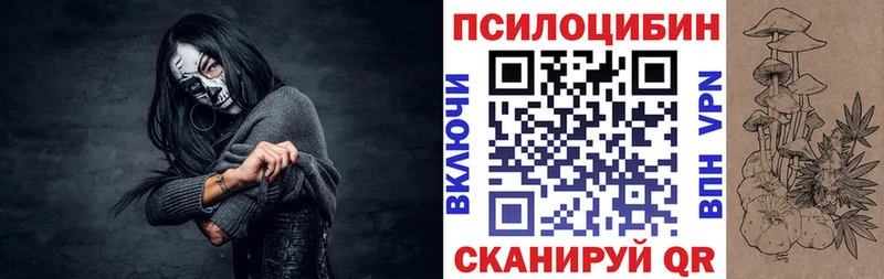 Купить  Зима  Галлюциногенные грибы прущие грибы 
